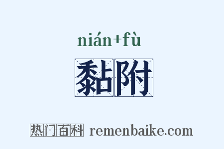 黏附是什么意思的图片